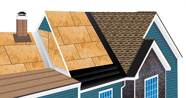 Professional Roofing Services